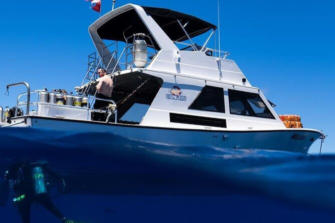 Premium Afternoon Scuba Charter for All Certified Diver Levels - Key Highlights I’d Circle for This Afternoon Charter