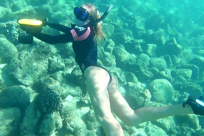Princeville - Snorkeling Shore Excursion - What You’ll See: Turtles, Butterflyfish, and Humuhumu-nuknuk-apua’a