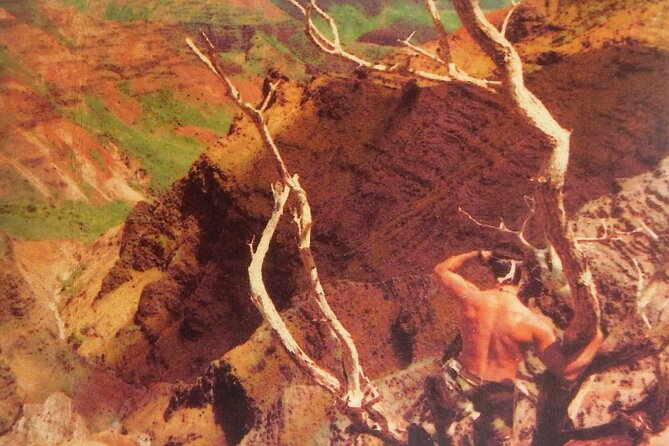 Private Jungle Waterfall Adventure, Wit Da Native Hawaiian Dundee - Kalalea: movie-peak views plus ancient sites