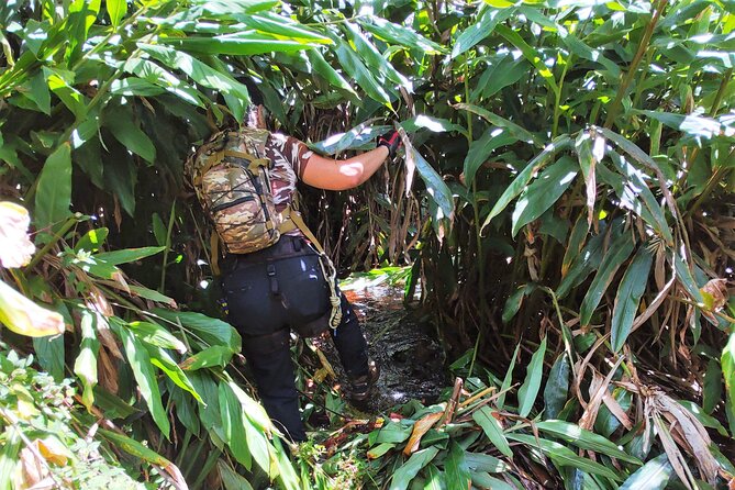 Private Jungle Waterfall Adventure, Wit Da Native Hawaiian Dundee - What to wear and bring so the day stays fun