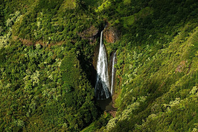 Private Kauai Airplane Tour: Na Pali Coast, Waterfalls & More - Mount Waiʻaleʻale: the wettest mountain in the picture