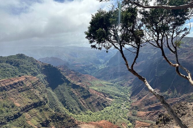Private Kauai Highlights- Featuring Waimea Canyon - Kōkeʻe State Park and the Kalalau Valley lookout: high-country views with a weather caveat