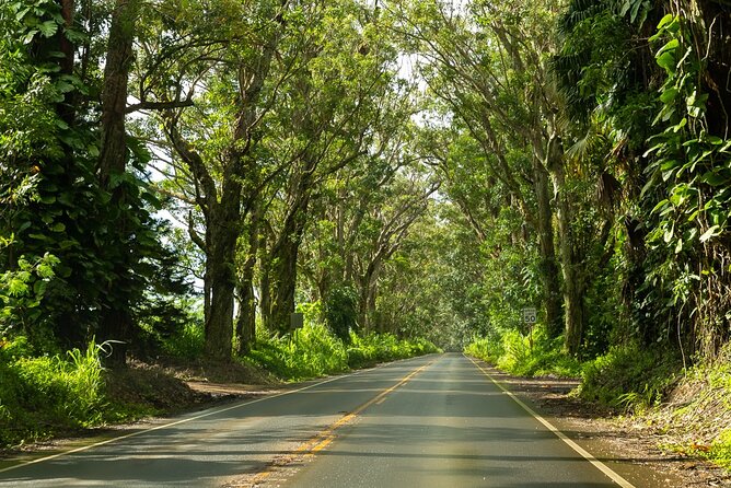 Private Kauai Highlights- Featuring Waimea Canyon - Price and value: what $300 per person buys you on Kauai