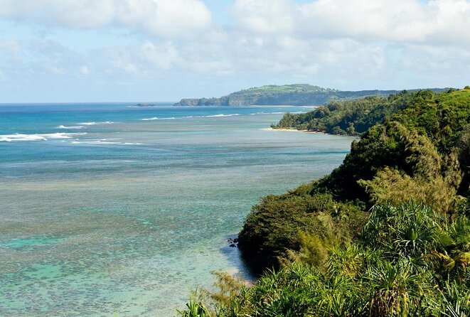 Private Luxury Tour of Kauai: North & East Shores - Key Things I Think You’ll Notice