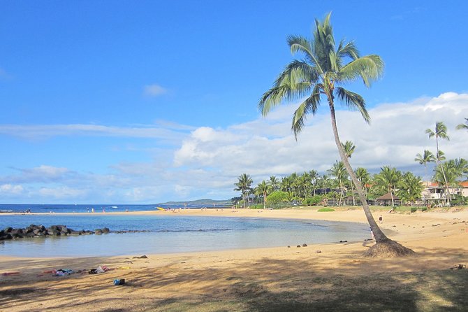 Private Luxury Tour of Kauai: South & West Shores - Spouting Horn: quick stop, big spectacle when surf is up