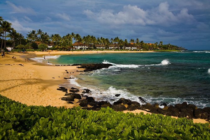Private Luxury Tour of Kauai: South & West Shores - Kauai Coffee Company: a 30-minute break with real local flavor