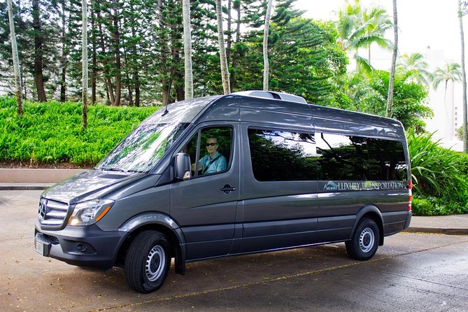 Private Luxury Tour of Kauai: South & West Shores - Price and logistics: what $415.42 per person really buys you
