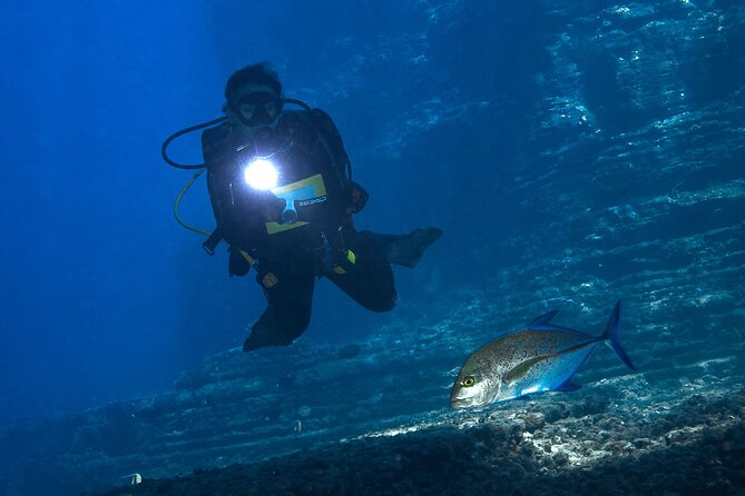 Private Niihau Scuba Charter with 2 or 3 Tank Dive Option - What You’ll See: The Wildlife That Makes Niʻihau Famous