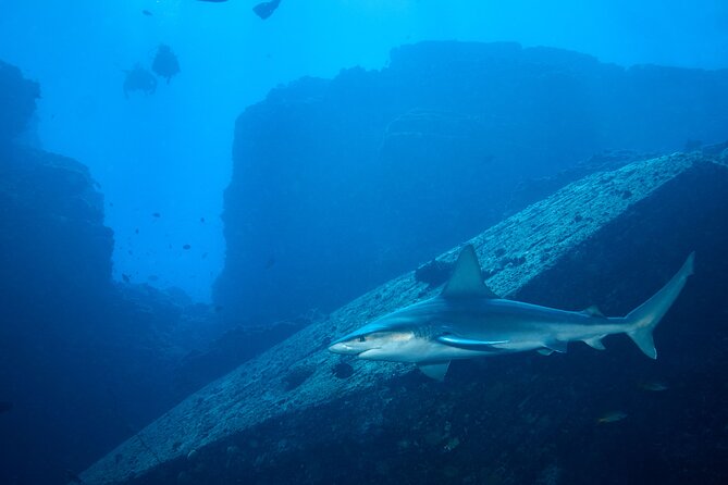 Private Niihau Scuba Charter with 2 or 3 Tank Dive Option - Between Water Sessions: Lehua Crater, Lunch, and a Seabird Break