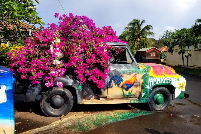 Private Waimea Canyon Tour - Stop 2: Kalalau Lookout for Na Pali Coast Views