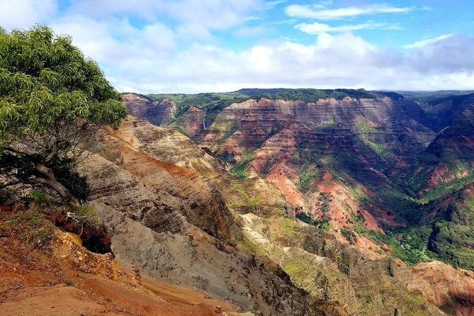 Private Waimea Canyon Tour - Stop 4: Kauai Coffee Company for Tasting and a Coffee Maze