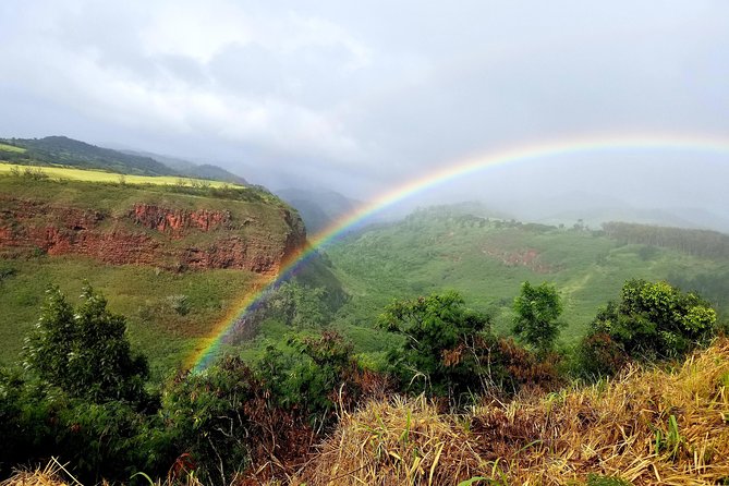 Private Waimea Canyon Tour - Price and Value: What You’re Paying for at $360 Per Person
