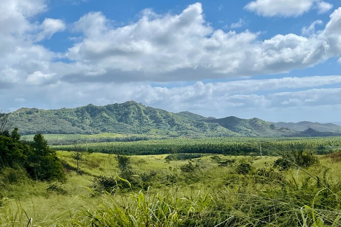 Shaka Zipline: 5 Line Zipline Tour (60 - 260 lbs) - Five ziplines, not four random moments: how the route works