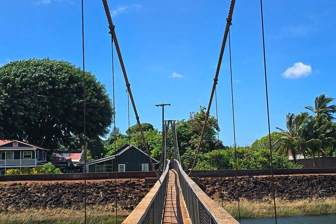 Small Group One Day Trip Kauai Island - Waipo’o Falls: A Quick Stop That Still Delivers