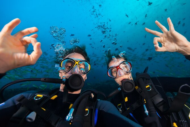 Try Scuba Diving in Kauai From a Boat: No Experience Necessary - What’s Actually Good About This Kauai Scuba Intro From a Boat
