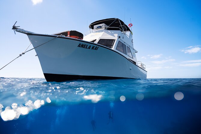 Try Scuba Diving in Kauai From a Boat: No Experience Necessary - From 2827 Poipu Rd to Kukuiula Small Boat Harbor: The Setup Matters