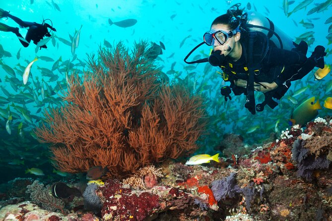 Try Scuba Diving in Kauai From a Boat: No Experience Necessary - Two Ocean Sessions at 40 Feet: What Your Underwater Time Really Looks Like