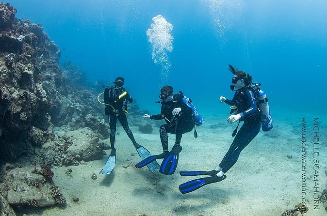 Try Scuba Diving on Kaua’i with Sea Turtles - Price and Value: Is $665 Worth It?
