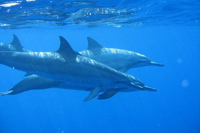 Ultimate Na Pali Coast Zodiac Boat Snorkeling and Sea Cave Tour - Why this Zodiac works for Nā Pali