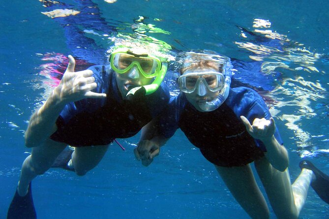 Ultimate Na Pali Coast Zodiac Boat Snorkeling and Sea Cave Tour - What wildlife you might see (and why it’s exciting)
