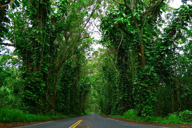 Ultimate Self-Guided Audio Driving Tour of Kauai (Na Pali, Waimea), Hawaii - Practical tips that will make this smoother