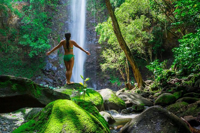 Wailua River Kayak and Sacred Falls Guided Hike with Lunch - River Kayaking That Actually Works for Beginners