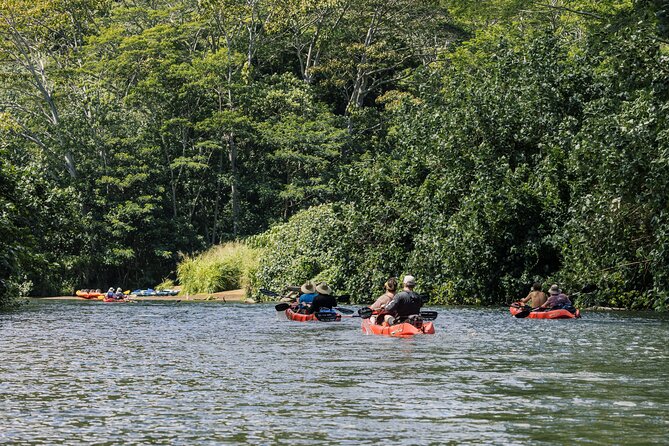 Wailua River Kayak, Hike & Waterfall Picnic by Outfitters Kauai - Why the Wailua River Kayak Hits Different
