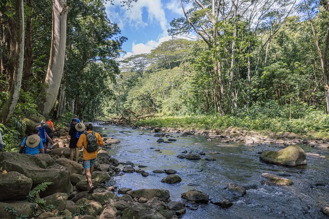 Wailua River Kayak, Hike & Waterfall Picnic by Outfitters Kauai - What I Think You Should Bring (So You Stay Comfortable)