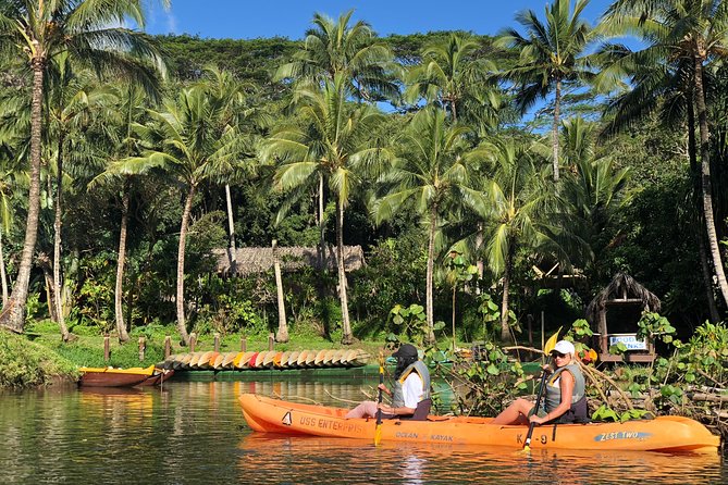 Wailua River & Waterfalls Kayak Tour: Expert-Guided Adventure - Lunch by the falls: why this meal matters