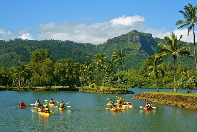 Wailua River & Waterfalls Kayak Tour: Expert-Guided Adventure - What to bring: traction, closed-toe shoes, and water discipline
