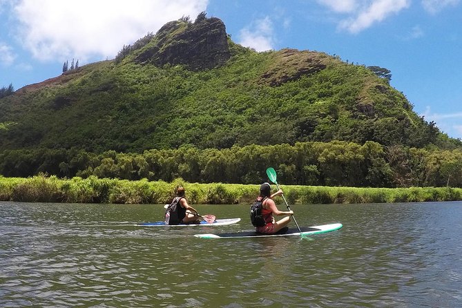 Wailua River & Waterfalls Kayak Tour: Expert-Guided Adventure - Timing, meeting point, and how to start the day well