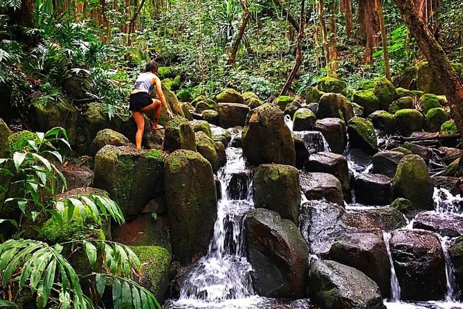 Wailua River & Waterfalls Kayak Tour: Expert-Guided Adventure - Price and value: what $145.86 actually covers