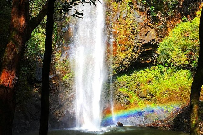 Wailua River & Waterfalls Kayak Tour: Expert-Guided Adventure - Who should book (and who should skip)