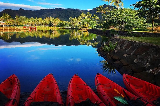 Wailua River & Waterfalls Kayak Tour: Expert-Guided Adventure - Kayak time on the Wailua River: 2 miles each way