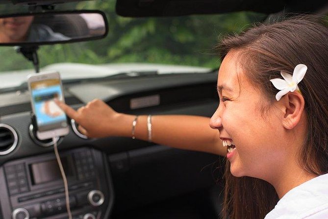 Waimea Canyon & Na Pali Driving Tour app - Koke’e State Park and Pu’u O Kila: Forest Birds to Wettest Swamp Views