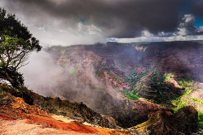 Waimea Canyon Private Tour with Local Guide from Kauai - Stop 3: Kalalau Lookout on Kokee Road (18-Mile View Hit)