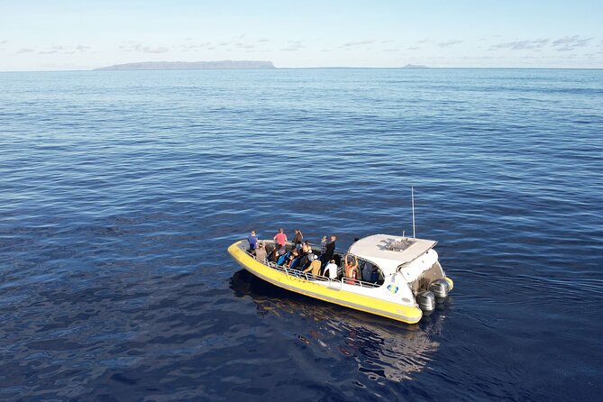 Winter Whale Watching Adventure in Kauai - Stop 1: Kauai waters—how sightings happen (and why the crew matters)